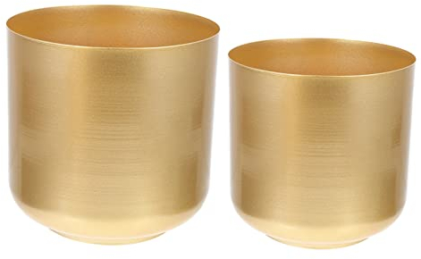 Cabilock 2pièces Pot De Plante Métal De Jardinières Fer De Style Moderne pour Extérieur Pots De Fleurs Dorés pour Succulentes Et Décoration De Balcon