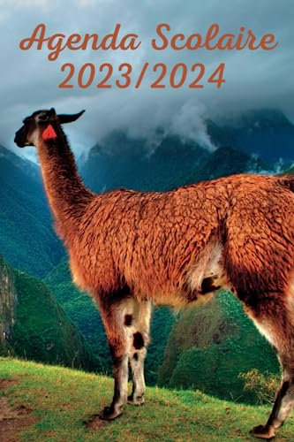 Agenda scolaire 2023 2024 Lama: Organisateur Scolaire Avec Programmes Personnels , Emploi du Temps , Une semaine sur 2 pages , Primaire, Collège, Lycée pour Fille et Garçon , Enfant ,Adulte