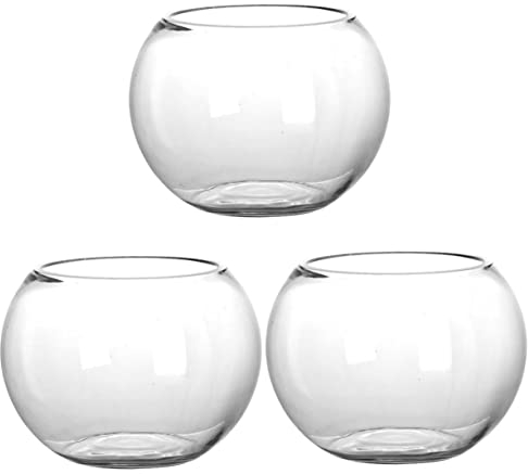 BESPORTBLE 3 Pièces Aquarium en Verre Pot De Terrarium Bol De Fruits Décor d'or Vase Décoratif en Verre De Liège en Verre Bocal à Poisson Terrarium Pot De Fleur Un Verre Bol Décoratif Bureau