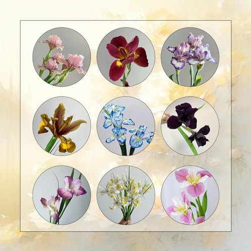 6 Piezas Bulbos De Iris, Perenne Resistente Al Invierno, Bulbos De Plantas De Iris, Regalos Sostenibles, Decoración De Plantas Bulbos De Iris - Iris Tectorum - Bulbos De Flores, Mini Jardín