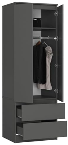 BDW Kleiderschrank mit 2 Türen, 2-türiger Kleiderschrank, 2 Schubladen - Aufbewahrungsschrank - Moderner Schrank für Schlafzimmer, Wohnzimmer, Flur, Kinderzimmer - 180x60x51cm - Graphit Grau
