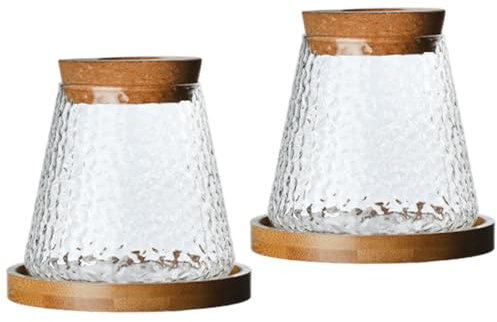2Pcs Glass Plant Pot Decorative Clear Plant Propagation Station with Perforated Cork & Bamboo Tray for Growing Hydroponic Plants.