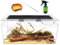 Reptile Growth Reptilien-PC-Terrarien-Set, Reptilienbecken 50 x 25x 20 cm, für Insekt, Fisch, Tarantel, Einsiedlerkrebs, Springspinne, Leguan, Schildkröte, Leopardgecko, Frosch, Bartagame