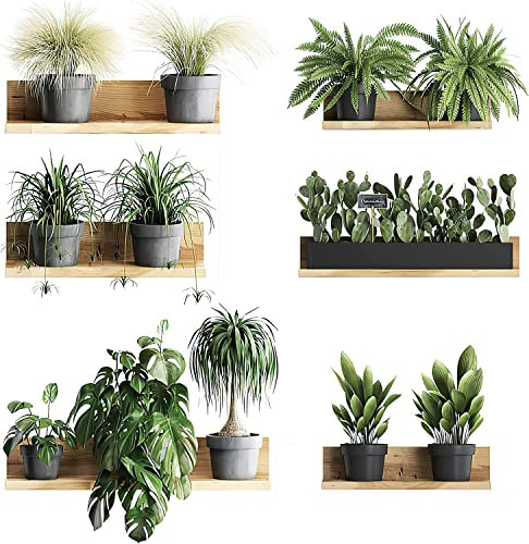 Adesivo da parete 3D, rimovibile in PVC, bonsai, decorazione da parete creativa, piante in vaso, decorazione da parete per camera da letto, soggiorno, cameretta dei bambini