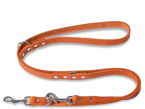 FREUDENTIER Hundeleine Leder 2m - Lederleine verstellbar - Führleine aus Fettleder für kleine, mittelgroße & große Hunde - Alsterufer Kollektion (Sunset Orange, 12mm breit)