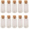 Jarvials 100pcs 10ml Mini Bouteille en Verre Transparent avec Bouchon en Liège Diamètre 22mm (10ml)