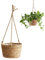CaiYuanGJ Panier de Jardinière Suspendu, Suspension de Pot de Fleurs, Pot de Fleurs à Suspendre en Corde de Jute, Flowerpot De Fleurs Tissé Intérieur Extérieur, pour Plantes et Flowerpot
