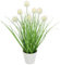 Flair Flower Knopfgras im Topf Kunst-Gras Künstliches Gras Grün Kunstpflanze Kunstgras Ziergras Kunstpflanzen Dekogras Grasbüschel Ziergras Deko Grasarrangement Borstenhirse Süßgräser