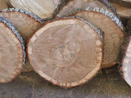 KJR Holzmanufaktur Baumscheibe, Holzscheibe,ca. 40x5 cm, basteln, Holz,Eiche