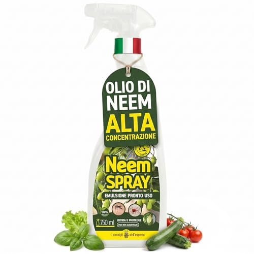 Olio di Neem per Piante 750 ml – Neem Oil Spray Pronto Uso per Orto e Giardino – Trattamento Naturale contro Afidi, Cocciniglia e Moscerini