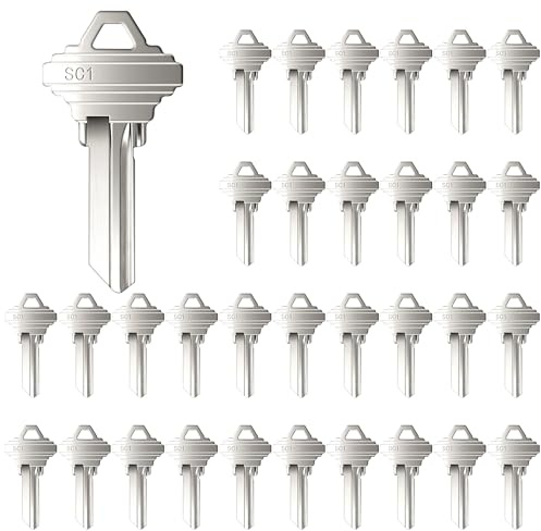 Lesnala 32pcs Uncut Blank Keys Bulk for House Door Lock Replacement Universal Kwikset Brass Finish Silvery SC1