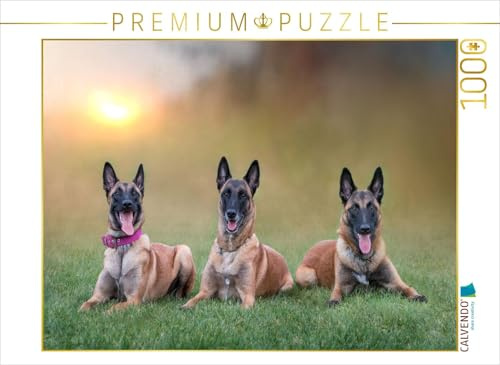 CALVENDO Puzzle EIN Motiv aus dem Kalender Traumhund Malinois | 1000 Teile Lege-Größe 64 x 48 cm Foto-Puzzle für glückliche Stunden