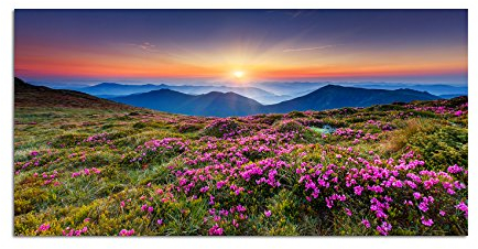 120x60cm - Fotodruck auf Leinwand und Rahmen Ukraine Blumenwiese Berge Sonne Natur - Leinwandbild auf Keilrahmen modern stilvoll - Bilder und Dekoration