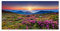 120x60cm - Fotodruck auf Leinwand und Rahmen Ukraine Blumenwiese Berge Sonne Natur - Leinwandbild auf Keilrahmen modern stilvoll - Bilder und Dekoration