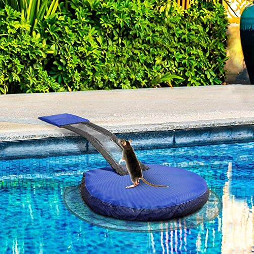 Kedelack blau Haustier Pool Rampe, tragbar kleines langlebiges Pool Flucht Netz, für Schwimmbad sparen Entenküken Saving Birds