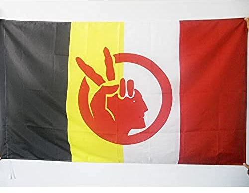 AZ FLAG - Flagge American Indian Movement - 150x90 cm - Aim Fahne 90 x 150 Cm Scheide Für Mast - Flaggen
