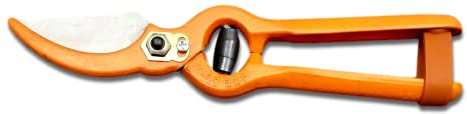 DUE BUOI CLASSICA FORBICE DA VIGNA DB 125/21V
