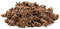 Sternanis ganz | 60g | Sternanisgewürz | Sternanis Gewürz | Stern Anis | Lebkuchengewürz | Glühweingewürz | Glühwein Gewürz | Backgewürz | Gerüche-Küche |