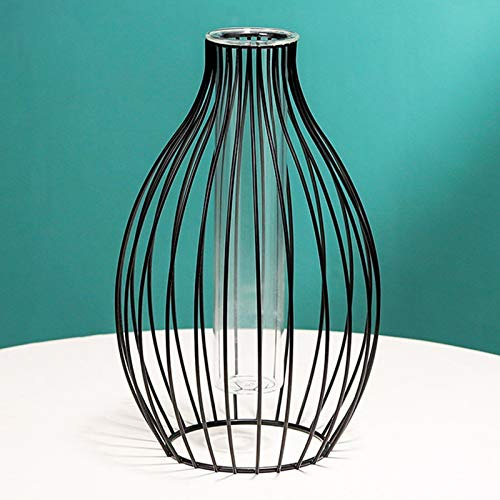 Metal Frame Vase Geometric Glass Flower Vase, Lantern Shape Glass Test Tube Vase, Modern Creative Clear Tube Glass Planter Terrariums with Geometric Metal Stand for Decor Office Home (Black A)
