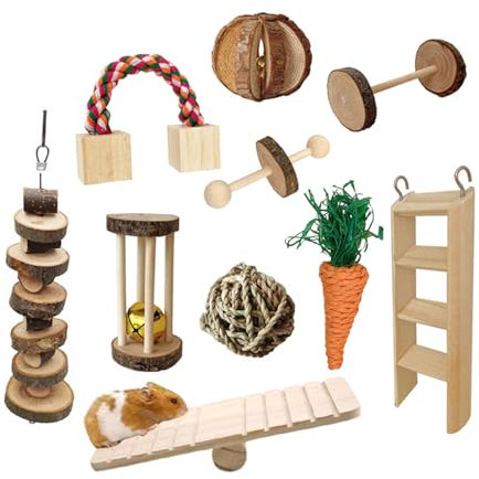 HIOPOIUYT Kauspielzeug Wippe Kaucluster Hamster Haustierschaukel Knirschende Zähne Spielzeug Käfigvögel