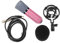 FackLOxc Microphone directionnel en forme de cœur pour ordinateur/ordinateur portable avec micro pour diffusion