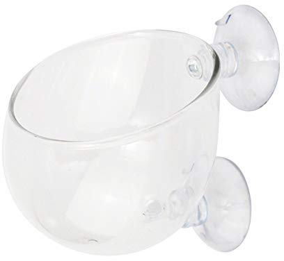 1Pcs Aquarium Pflanzenhalter Aquarium Glas Pflanzen Topf mit Saugnapf Wasserpflanze Cup für Aquarium-Landschaft Dekorationen