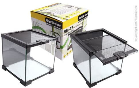 Reptile One Mini Glass T2 Terrarium with Wire Mesh Lid 20x20x20cm with Black Background