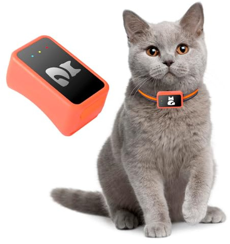 GPS-Tracker für Hunde und Katzen, wasserdicht, mit kostenloser App – Echtzeit-Tracking, Perimeter-Alarm, Verlaufsverlauf, funktioniert mit Nano-SIM-Karte 4G