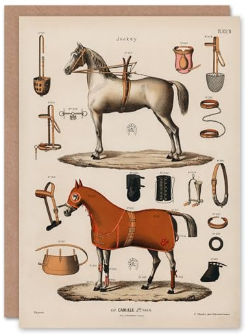 Artery8 Alp Camille Jeune Art Card Vintage Horseback Riding Equipment