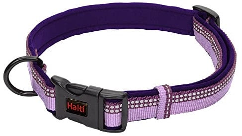 HALTI Collar, Size Large, Purple, Best Comfy Dog Collar, Premium Puppy Collar, Nylon, Neoprene-Padded, Reflective, Easy to Fit & Use, For Small, Medium & Large Dogs