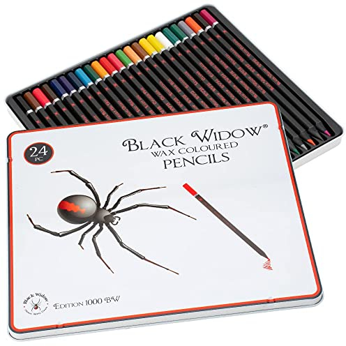 Buntstifte Farbige Bleistifte für Erwachsene, das beste Farbbleistift Set für Erwachsenen Malbücher, Top Qualität 24 Stück Schwarzholz Zeichnen Kit zur Verwendung in ihre