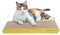 AMZNOVA Katzenkratzer, Kratzunterlage, strapazierfähiger, recycelbarer und wendbarer Karton mit Katzenminze, schmal, glitzerndes Gold