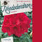 Rhododendron 'Red Jack' - Rhododendron 'Red Jack' - 40-50 cm Topf