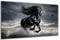 DARO Design - Wand-Bild auf 6mm HDF 70x50 cm schwarzes Pferd - Wand-Deko Bilder Geschenk