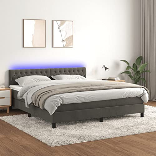 Festnight Bettgestell Samt Boxspringbett 160x200 mit Matratze LED Polsterbett Doppelbett Bettrahmen Bett Boxspringbetten mit Verstellbar Kopfteil Bettgestell Samt mit Lattenroste Dunkelgrau