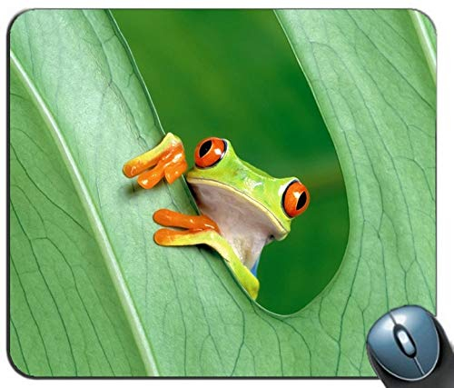 Yanteng Der Frosch personalisierte rechteckige Mousepad, Druck - Skid - Komfort maßgeschneiderte Computer - Maus - Pads Mousepad - Mousepad