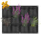 LITLANDSTAR Pflanzbeutel zum Aufhängen, 12 Taschen, 60 cm × 0,8 m, zum Aufhängen, vertikaler Garten, Wand-Pflanzgefäß, Blumenpflanzbehälter, Wandmontage, Begrünung, Pflanztasche für den Innen- und