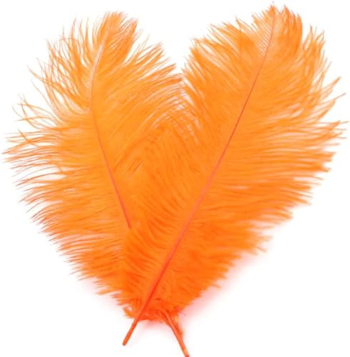 10 Stück 20-25cm Natürliche Straußenfedern,Strauß Feder zum Basteln,Bastel Federn für DIY Traumfänger Zubehör,Heimdekoration,KostüMe,Tischdeko Hochzeit Party Fest Hüte Kleidung Dekoration,Orange