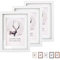 Rieeryslza Juego de 3 Marcos de Fotos A4 Marco de Madera con Vidrio Acrílico Inastillable Portafotos de Madera Minimalistas Clásicos para Decoración del Hogar (Blanco o2)