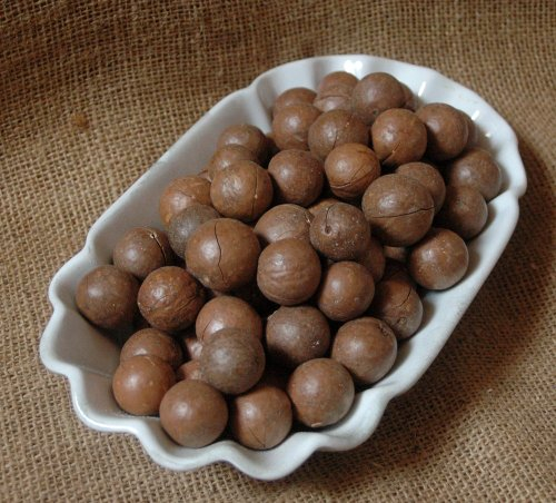 Naturix24 – Macadamianüsse mit Schale – 1 Kg Beutel