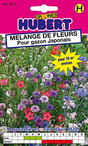 Graines de Fleurs Pour Gazon Japonais Pour 10 m2-12 grammes