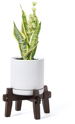 D'vine Dev Keramik-Pflanzgefäß mit Holzständer – 15,2 cm, modernes Zylinder-Blumentopf-Set für Zimmerpflanzen und Blumen, weiß, 95-A-S-W