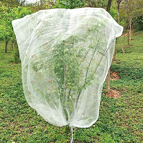 LINSOCLE Filet Arbre Fruitier 2m X 2.4m, Filet Anti-Insectes pour Plantes, Filet Anti Insectes Maille Fine avec Cordon de Serrage, Filets Anti Oiseaux pour Protection Fruitiers Arbre