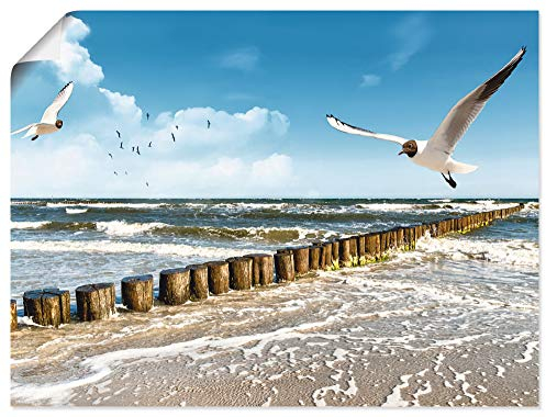 ARTLAND Wanddeko Poster & Kunstdrucke Wandposter 80x60 cm Strand Meer Maritim Landschaft See Ostsee Möwe Himmel Sommer T5QR