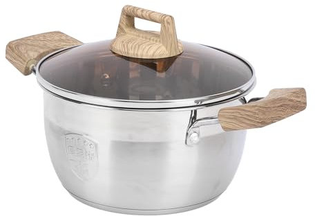 LOCADENCE Stainless Steel Stockpot, Large Capacity Induction Cooking Pot with Glass Lid, Soup Pot with Dual Handle for Slow Simmers, Boiling Lobster (20CM)