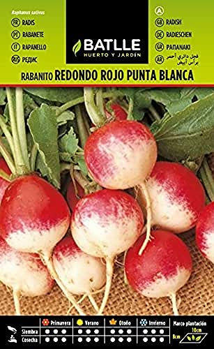 Semillas Batlle Rabanito Red. rojo punta blanca