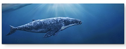 Paul Sinus Art Leinwandbilder | Bilder Leinwand 120x40cm Wal zwischen Himmel und Meer