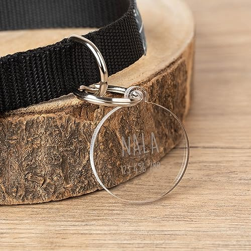 Wanapix | Chapa Redonda Personalizada Perros/Gatos/Mascotas | Placa/Etiqueta Identificativa con Nombre y Teléfono | Metacrilato Grabado | Pequeña 2ø cm -Transparente