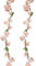 duoyif Blumengirlande Künstliche Kirschblüten Girlande Blumenrebe Blumengirlande Frühling Aesthetic Girlande Seidenblumen Hängend Vines Für Hochzeit Party Garten Zimmer Deko 1,8M 2Stk (Champagner)