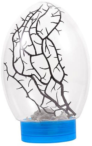 BESPORTBLE Aquarium avec lumière LED Aquarium de Bureau avec LED Lampe à Eau Plantes d'aquarium crevette Mini LED Aquarium Aquariums écosphère d'aquarium de Bureau Terrarium végétal Plastique